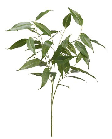 Willow Eucalyptus Spray