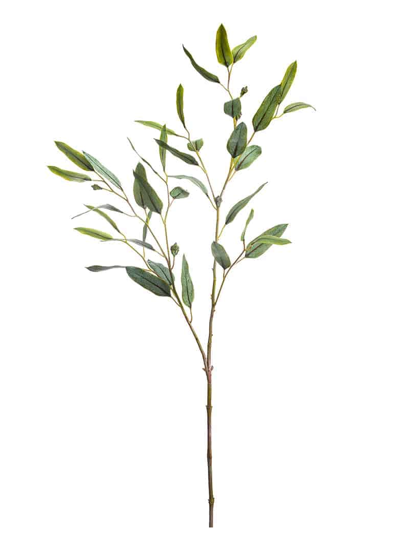 Elowen Eucalyptus Stem