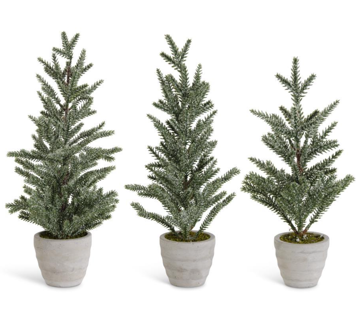 Bruno Cement Potted Trees