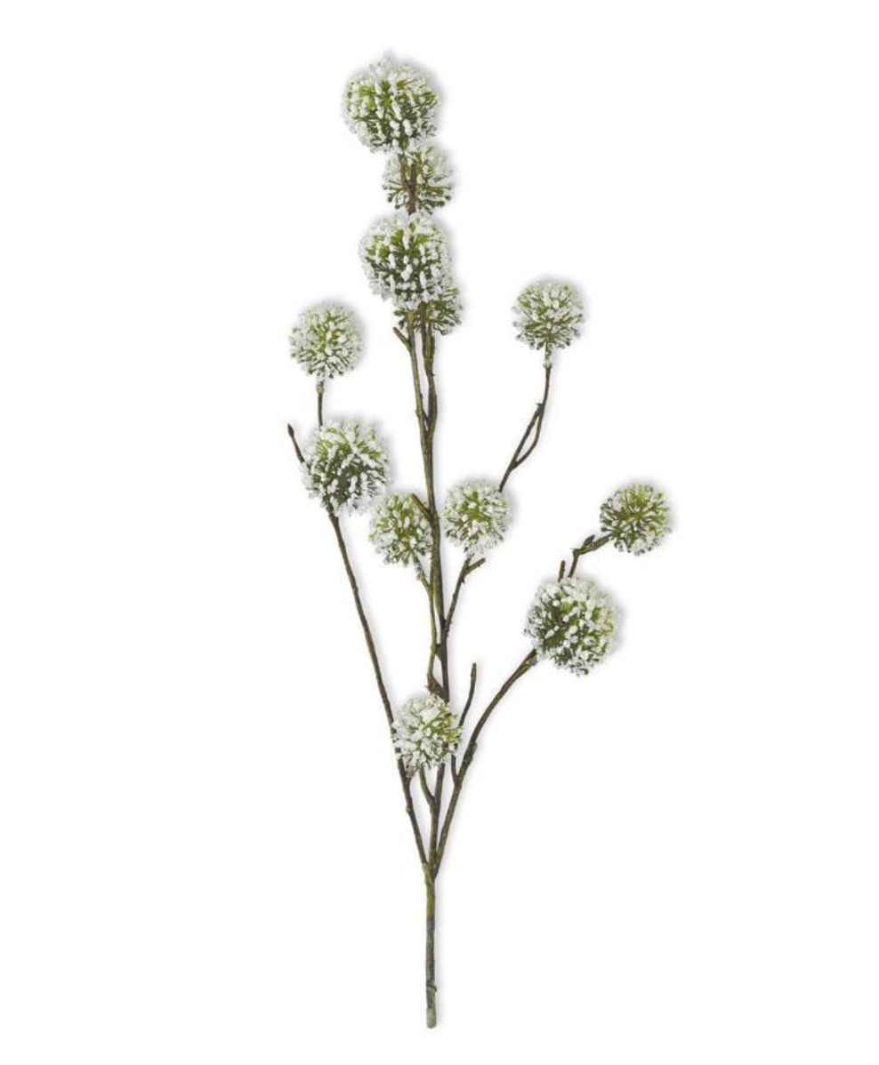 Lou Snowy Pod Stem