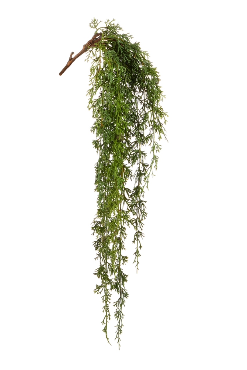 Calvin Hanging Cedar Branch