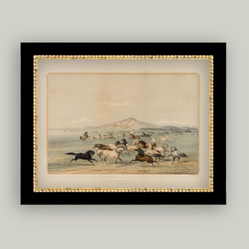 9x7 Field of Horses Framed Art
