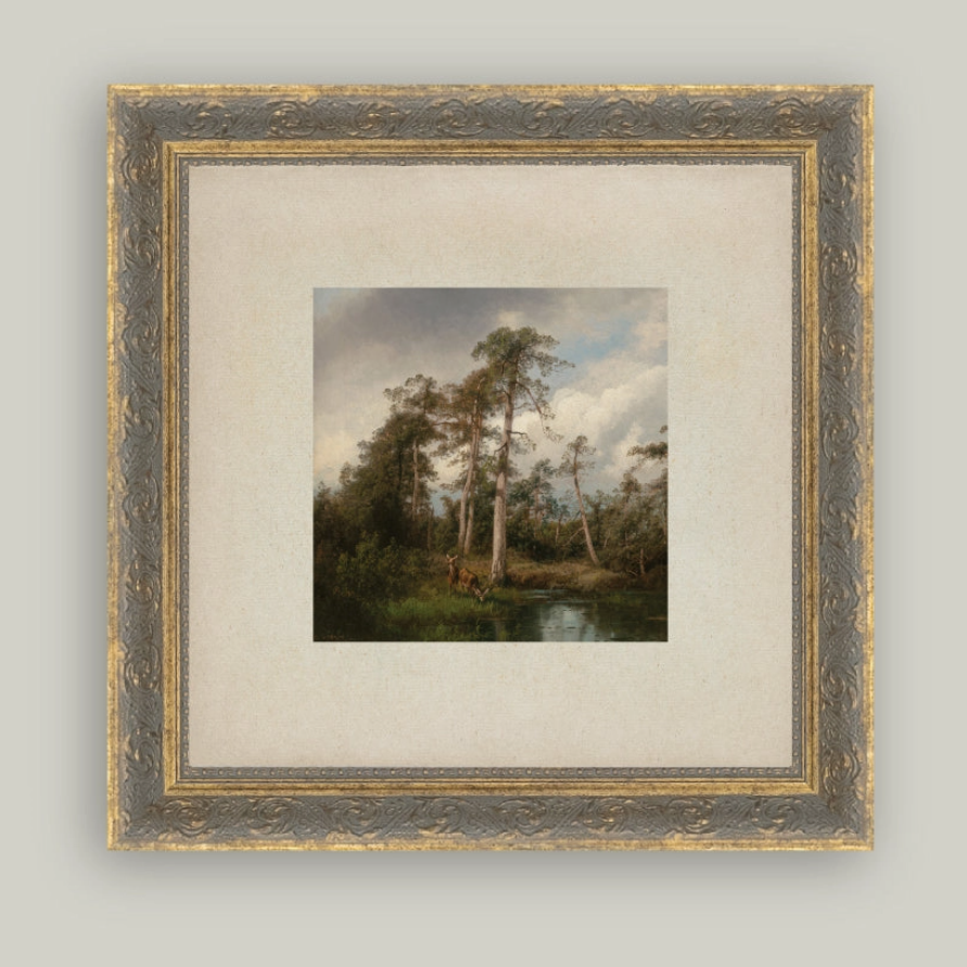 9x9 Live Oak Framed Art