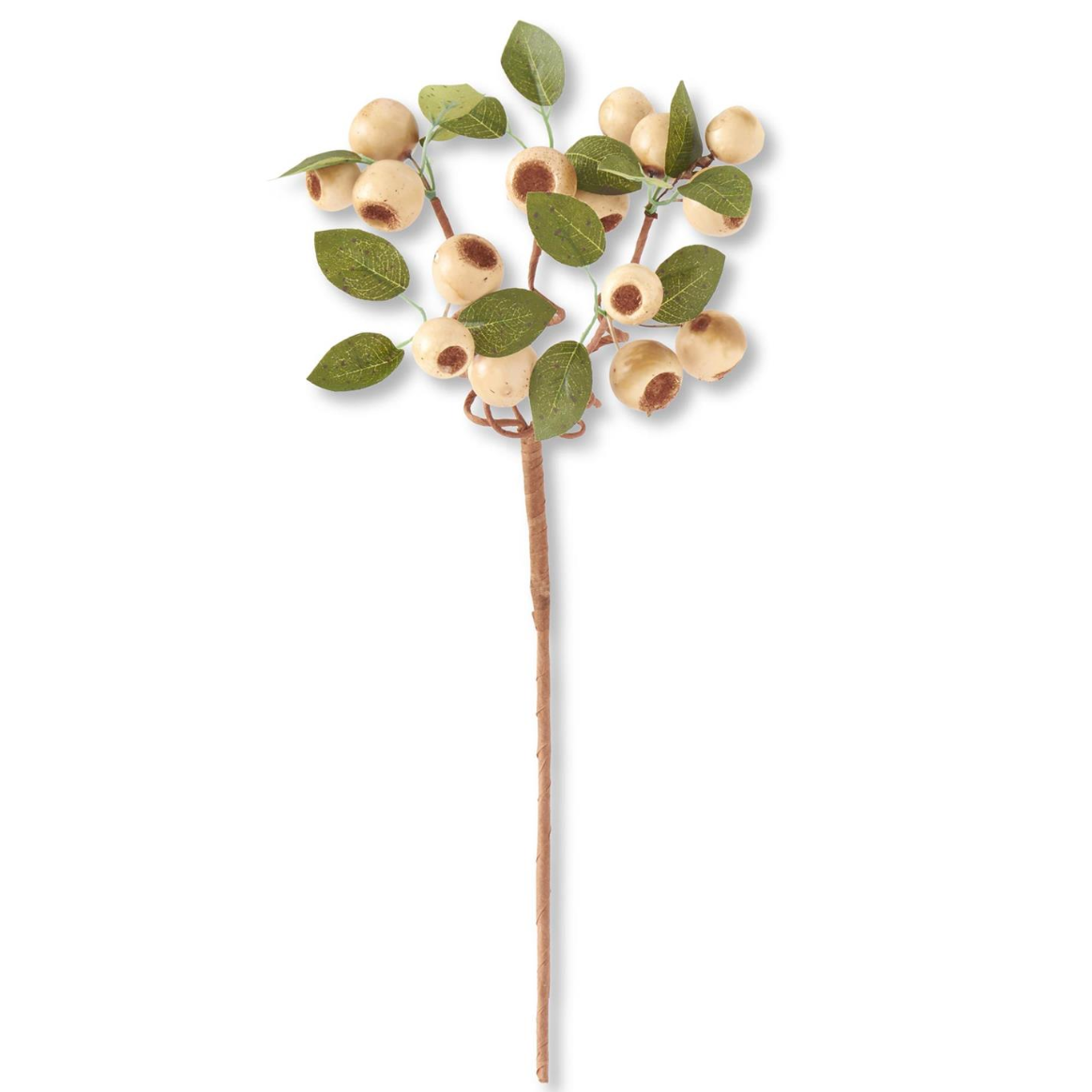 Masony Cream Pod Stem