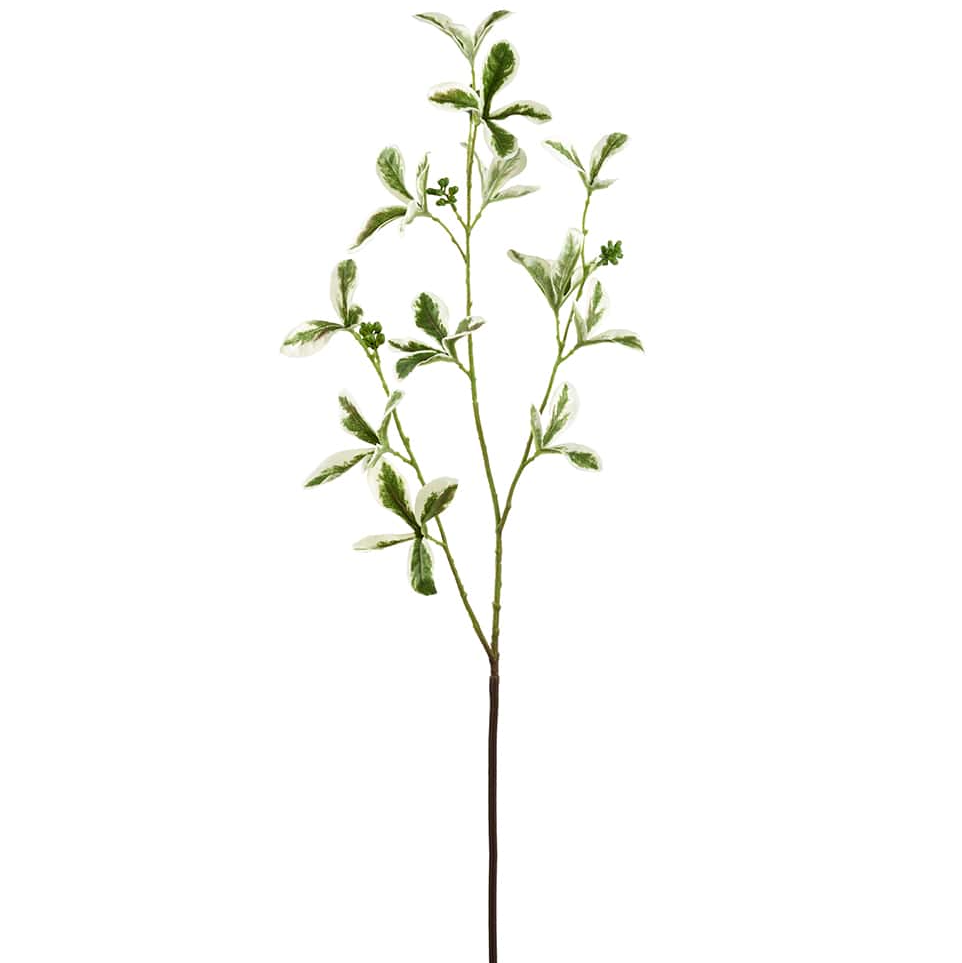 Mazikeen Almond Tree Branch