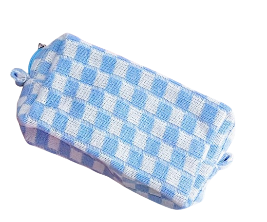 Checked In Zipper Bag