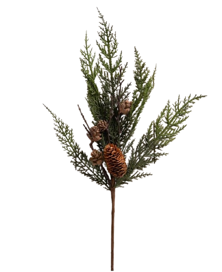Aria Cedar Pick