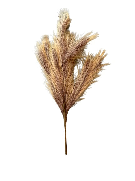 Beige Grass Bunch