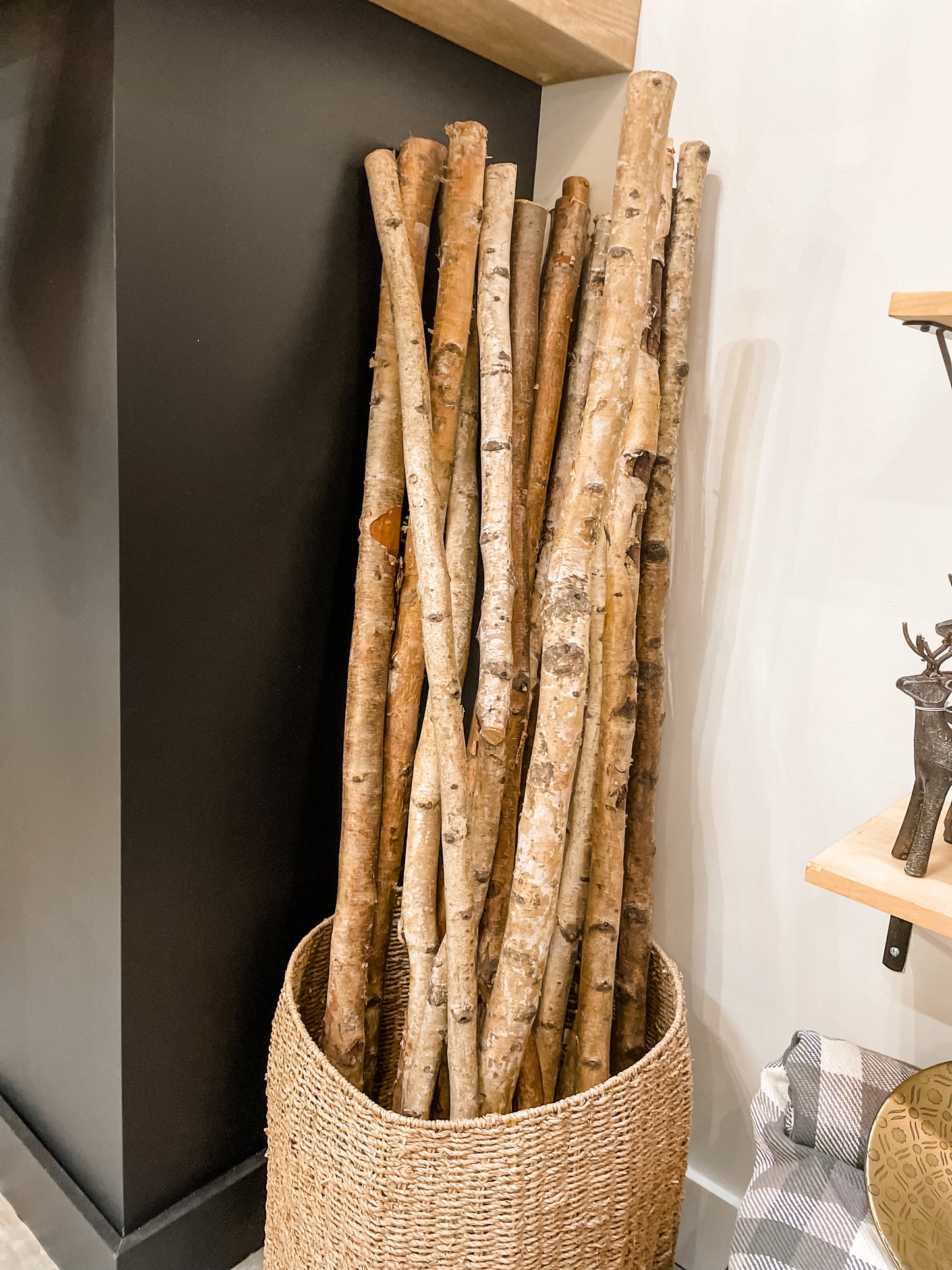 Birch Branch