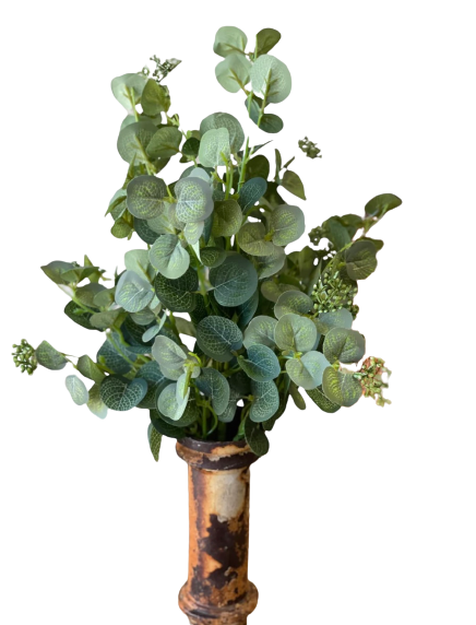 Eucalyptus Meadows Stem