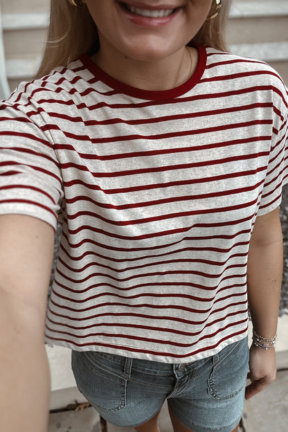 Chrishna Cropped Striped Top