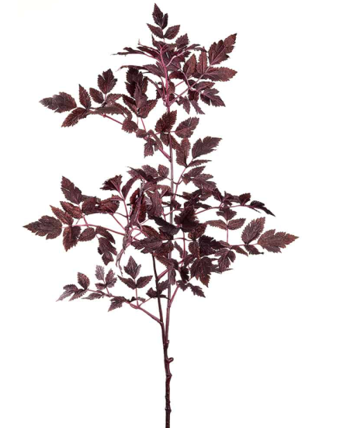 Fall Ramosa Spray