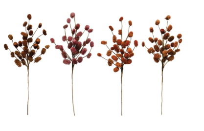 Dried Thistle Pick