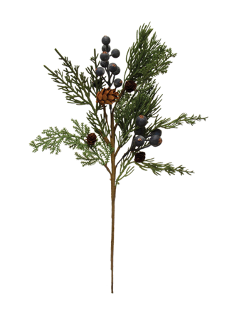 Clem Stem