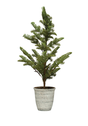 Jem Potted Tree – Leyland Blue
