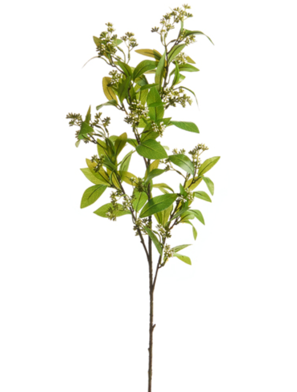 Adler Stem
