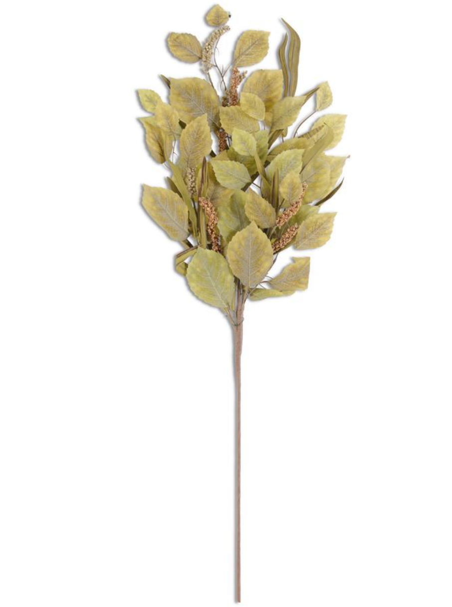 Maple Birch Stem