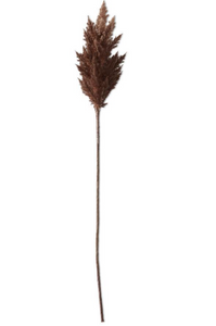 Brown Pampas Grass Stem