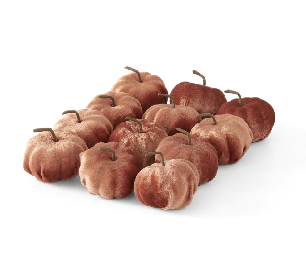Set of 12 Boxed Rust Pumpkins