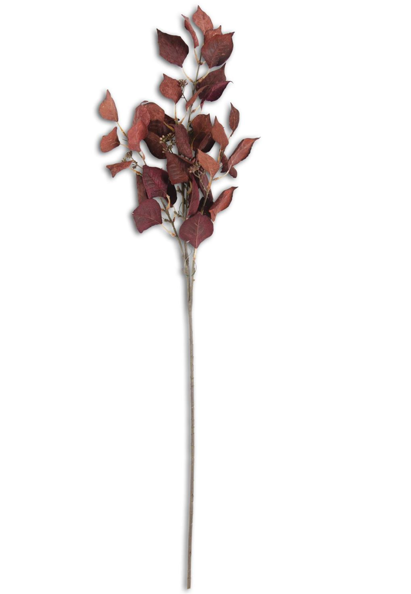 Bella Burgundy Eucalyptus