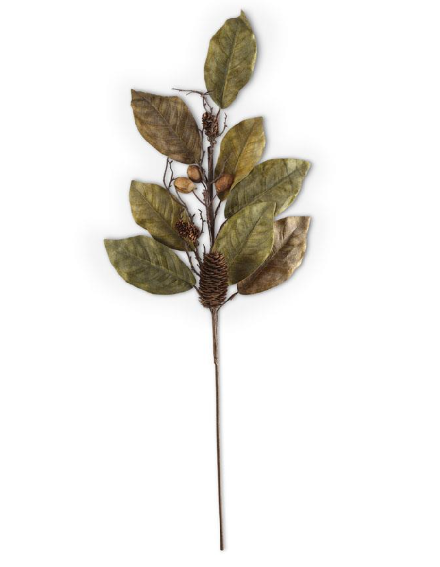 Prince Pinecone & Magnolia Stem