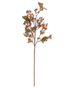 Brown Cran Stem