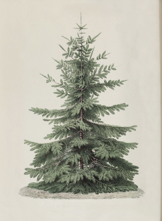 Vintage Christmas Tree Art Print