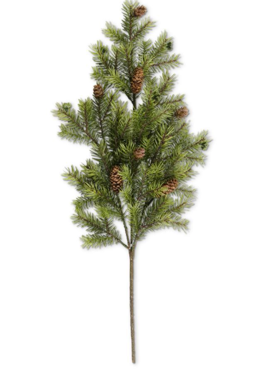 Myrrh Pine Stem