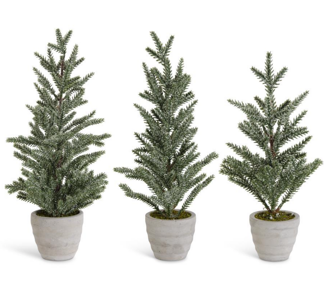 Bruno Cement Potted Trees