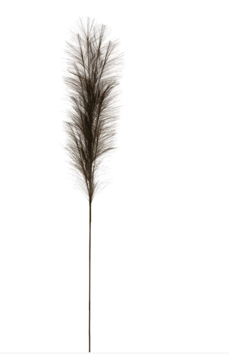 Grey Pampas Stem