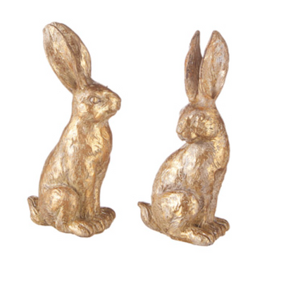 Pete the Gold Rabbit