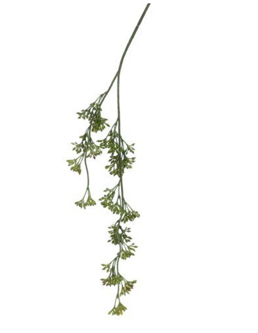 Hanging Seeded Eucalyptus Spray