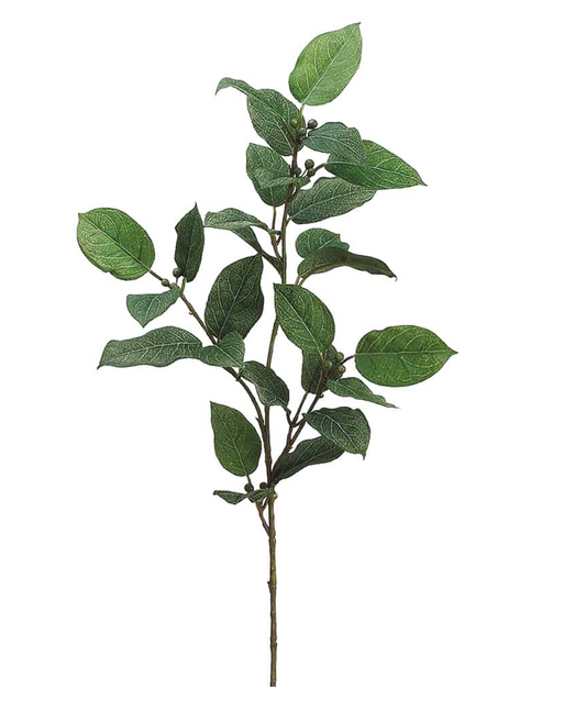 Bay & Berry Leaf Stem