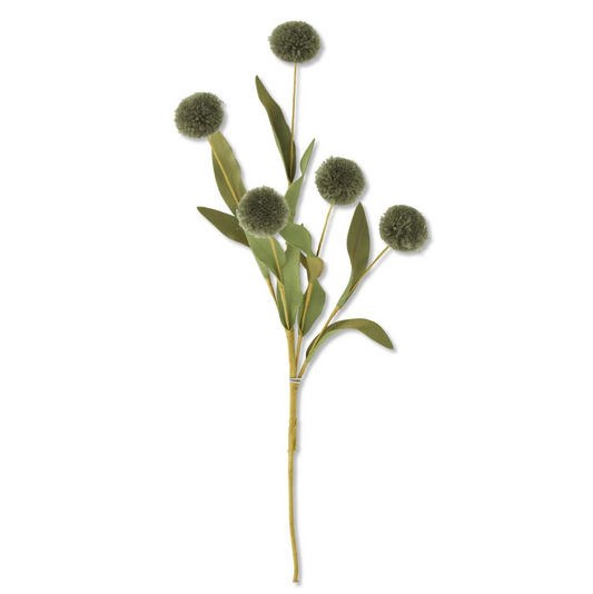 Jameson Green PomPom Stem