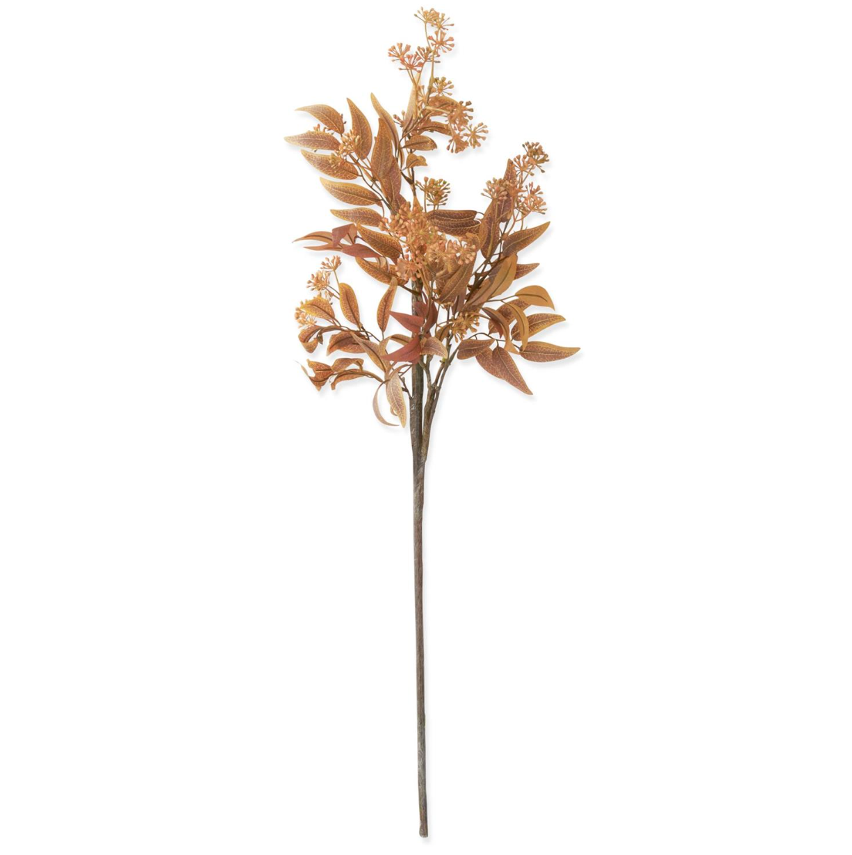 Laurel Fall Stem