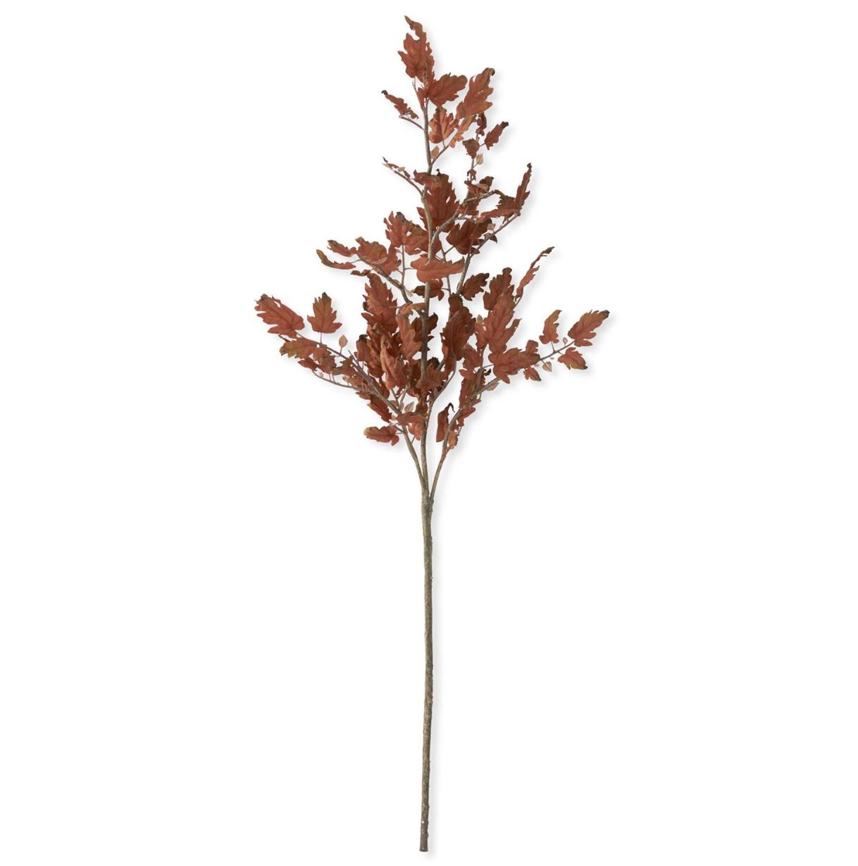 Risa Oak Branch