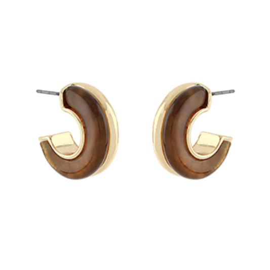 Dallon Acrylic Hoops