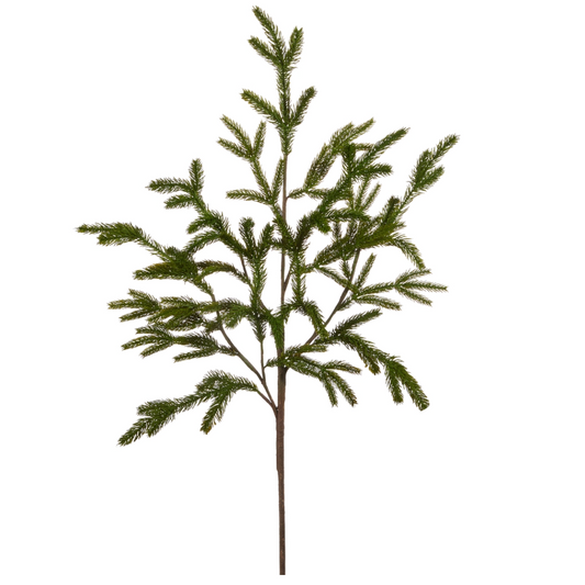 Nick Norfolk Pine Branch