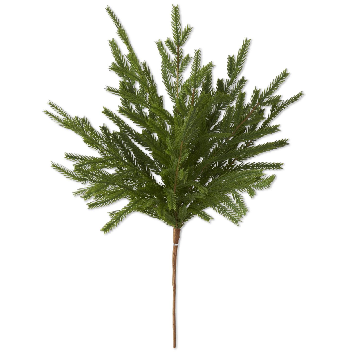 Lumi Norfolk Pine Stem