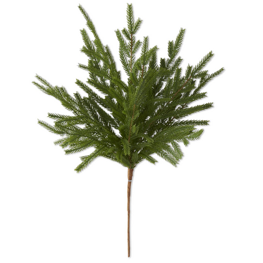 Lumi Norfolk Pine Stem