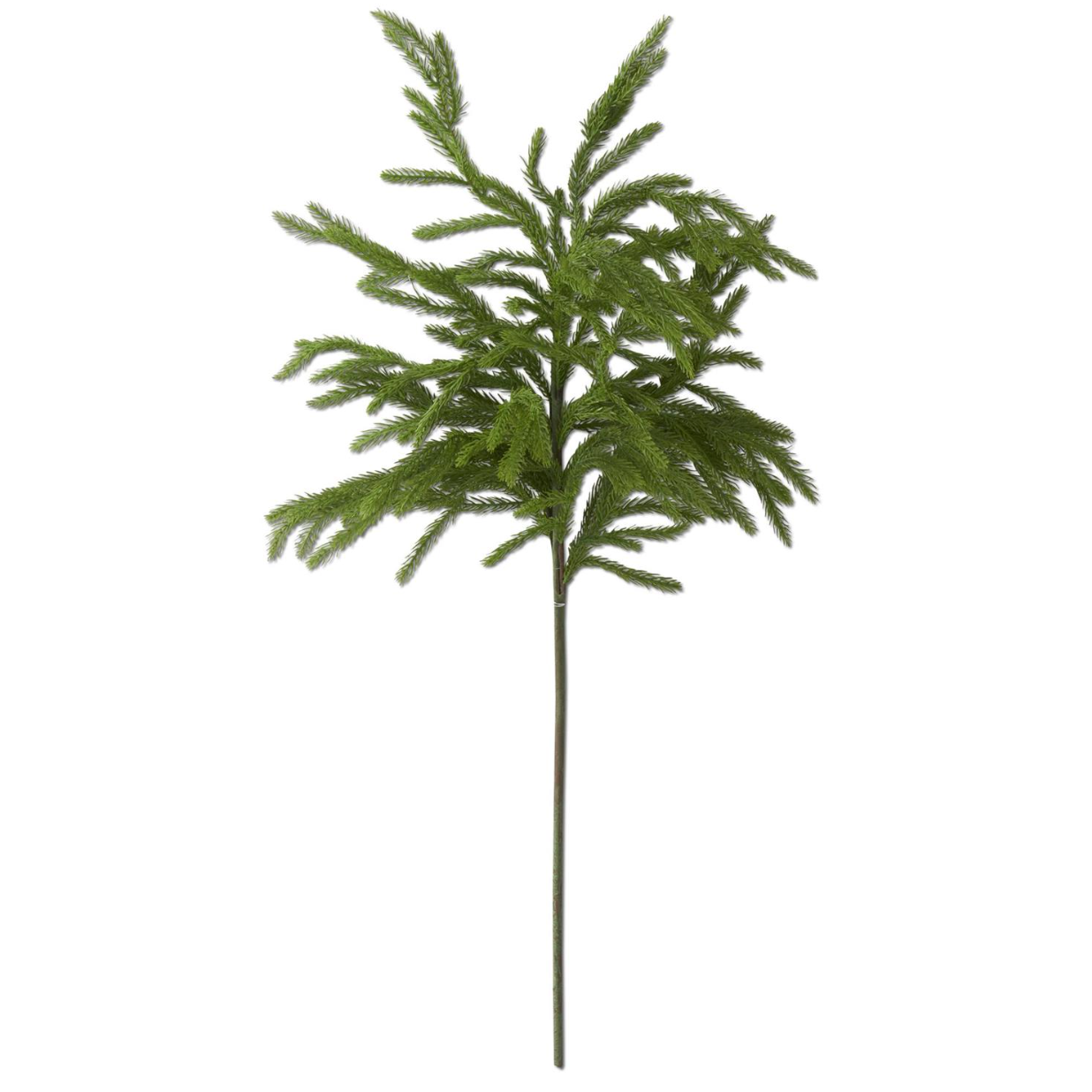 32" Ivy Norfolk Pine Branch Stem