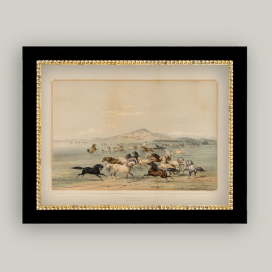 9x7 Field of Horses Framed Art