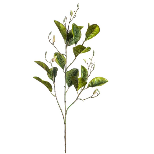 Maine Magnolia Leaf Spray