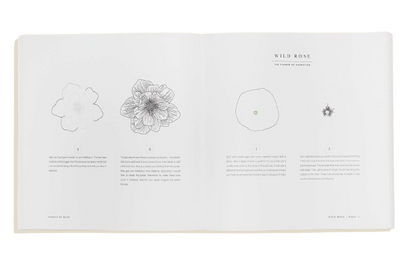 "Florals By Hand" Drawing Book