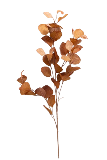 Hazel Eucalyptus Spray