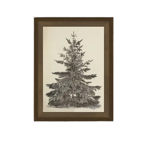 Vintage Pine Tree Framed Art