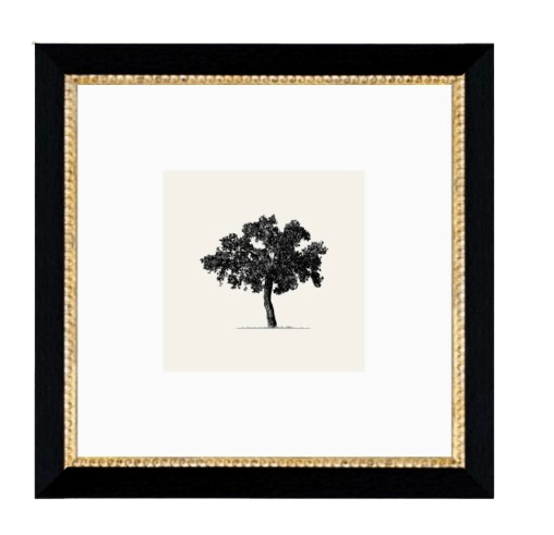 8" X 8" Black and Gold Antique Framed Art