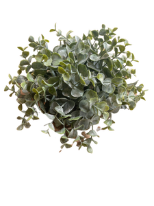 Eucalyptus Half Sphere