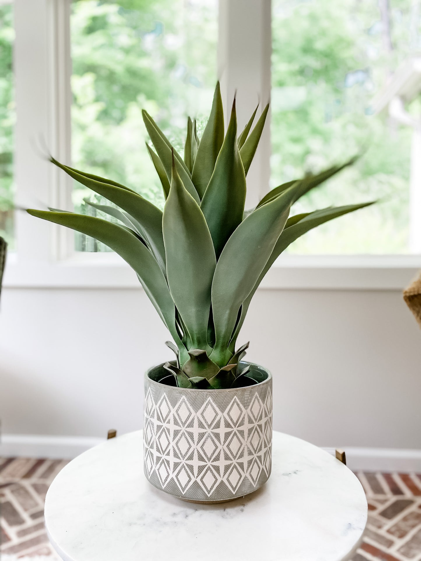 2' Potted Succulant - Leyland Blue