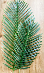 Palm Leaf Stem